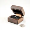 Ring Box - Peruvian Walnut & Lacewood #181 - Open Right View